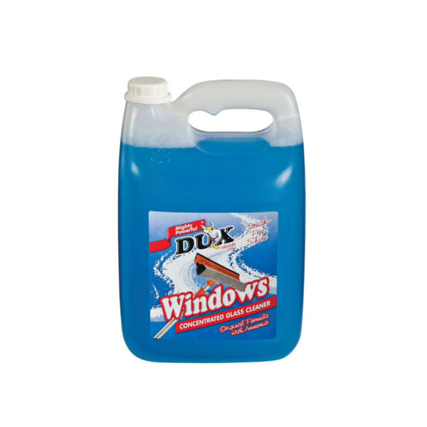 WINDOW CLEANER 5LT EEZY BUDGET