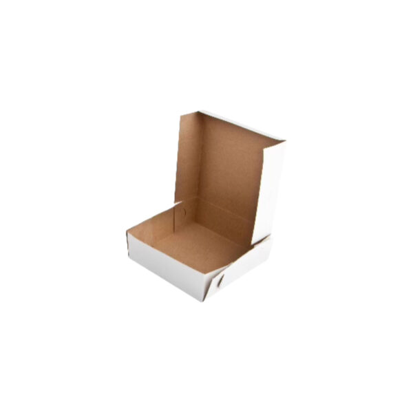 BOX 8x8x4 100