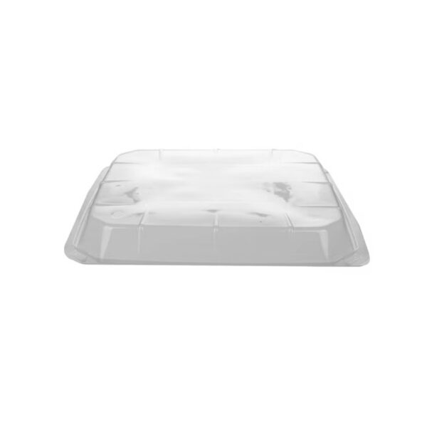 DOME PLATTER SQUARE (L04) ZIBO 1