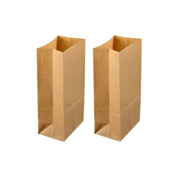 BAGS B/KRAFT JUMBO 310X410 500