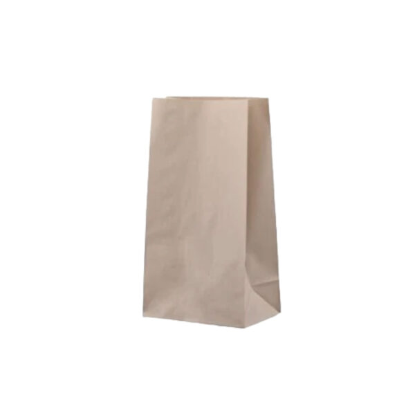 BAGS B/KRAFT NO4 200X310 500