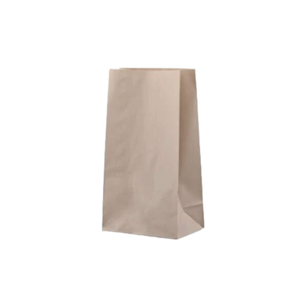 BAGS B/KRAFT NO6 240X360 500
