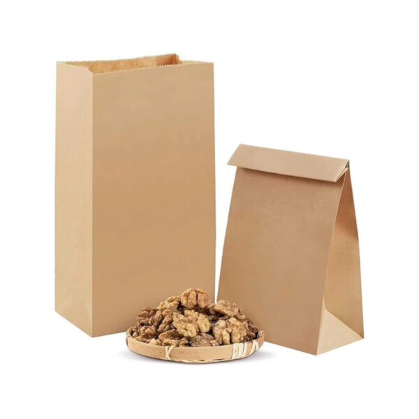 BAGS B/KRAFT SO2 110x60x195 500