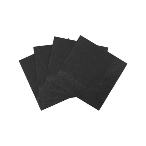 SERVIETTES 2 PLY BLK 100
