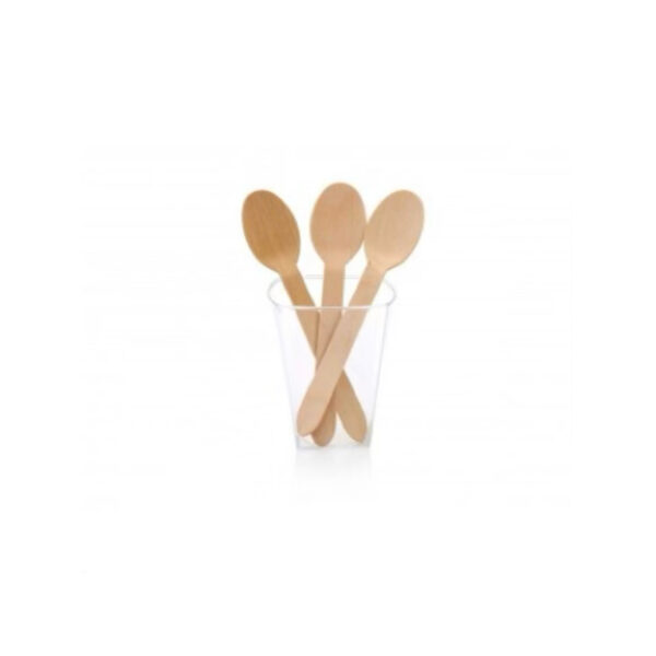 CUTLERY B/WOOD SPOON LARGE 160mm 100