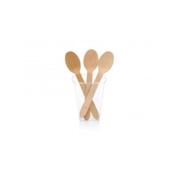 CUTLERY B/WOOD SPOON SMALL 140mm 100