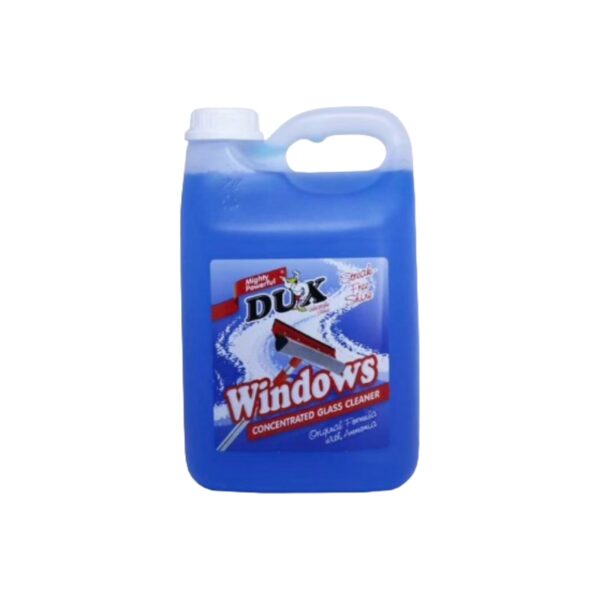 WINDOW CLEANER 2LT DUX